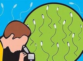 少精癥應該如何做好日常保健
